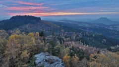 Landscapes nature Trees