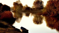 Landscapes nature Trees