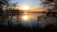 Landscapes nature Trees