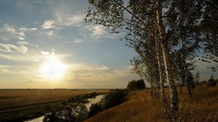 Landscapes nature Trees