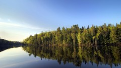 Landscapes nature Trees