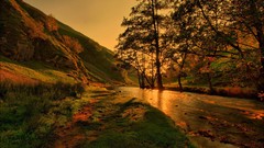 Landscapes nature Trees