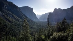 Landscapes nature Trees