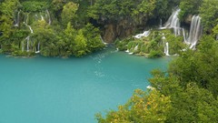 Landscapes nature Trees