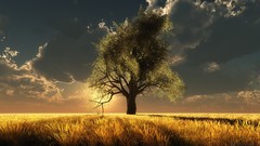 Landscapes nature Trees