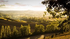 Landscapes nature Trees