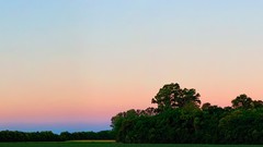 Landscapes nature Trees