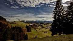 Landscapes nature Trees