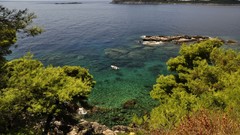 Landscapes nature Trees