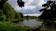 Landscapes nature Trees