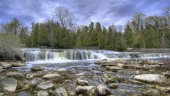 Landscapes nature Trees