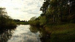 Landscapes nature Trees