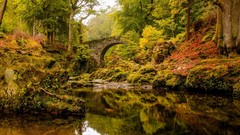 Landscapes nature Trees