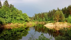 Landscapes nature Trees