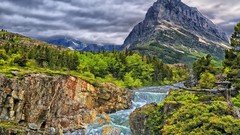 Landscapes nature Trees