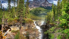 Landscapes nature Trees