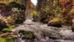 Landscapes nature Trees