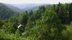 Landscapes nature Trees
