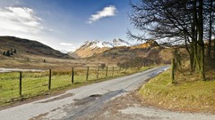 Landscapes nature Trees
