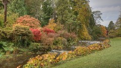 Landscapes nature Trees