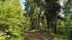 Landscapes nature Trees