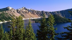 Landscapes nature Trees