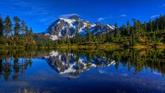 Landscapes nature Trees