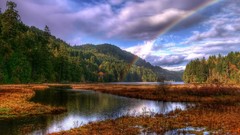 Landscapes nature Trees