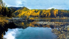 Landscapes nature Trees