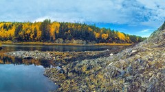 Landscapes nature Trees