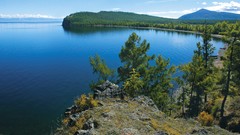 Landscapes nature Trees