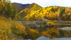 Landscapes nature Trees