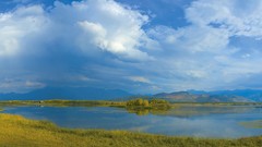 Landscapes nature Trees