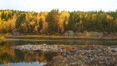 Landscapes nature Trees