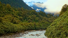 Landscapes nature Trees Alps rivers forests southern The Bridge 