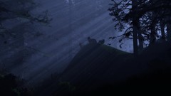 Landscapes nature Trees Animals