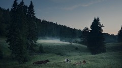 Landscapes nature Trees Animals Cows forests