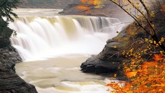 Landscapes nature Trees autumn