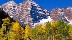 Landscapes nature Trees autumn