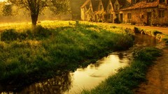 Landscapes nature Trees autumn