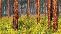 Landscapes nature Trees autumn