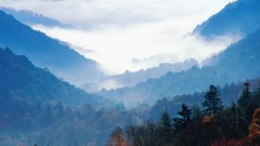 Landscapes nature Trees autumn