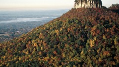 Landscapes nature Trees autumn