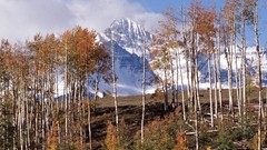 Landscapes nature Trees autumn