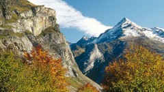 Landscapes nature Trees autumn