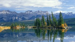 Landscapes nature Trees autumn