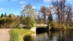 Landscapes nature Trees autumn Bridges