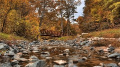 Landscapes nature Trees autumn Canada Toronto Bridges rocks 