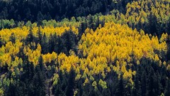 Landscapes nature Trees autumn colors