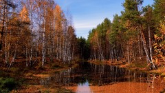 Landscapes nature Trees autumn forests skylines